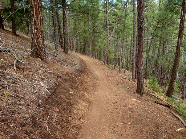 Section of Trail I Worked On