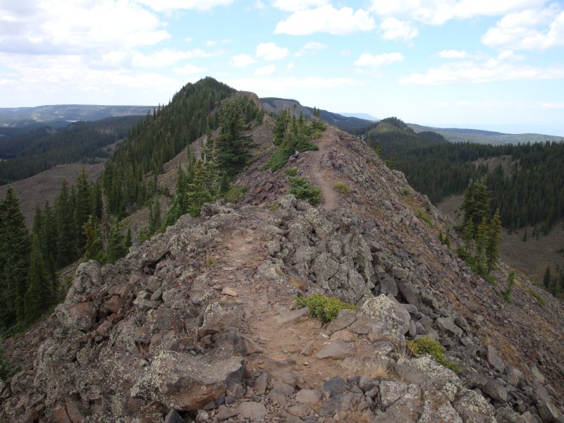 Crags Crest Trail