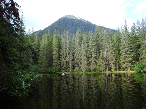 Pond Along the Trail