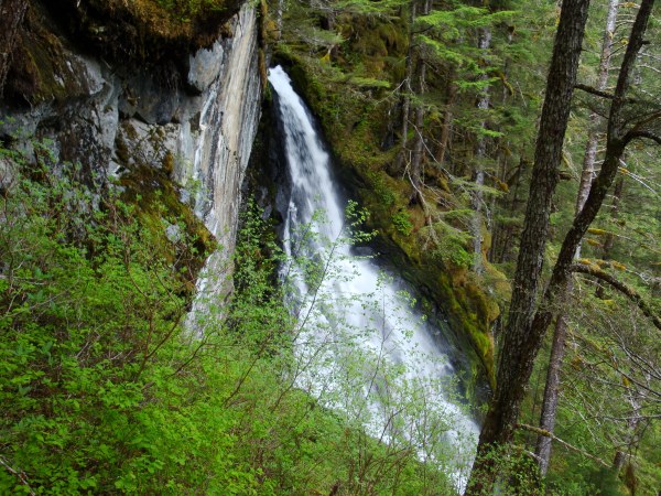 Waterfall on Vista Creek