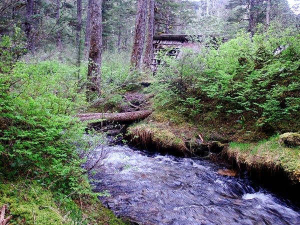 Vista Creek and Shelter