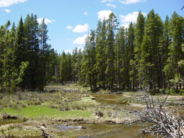 Colorado River