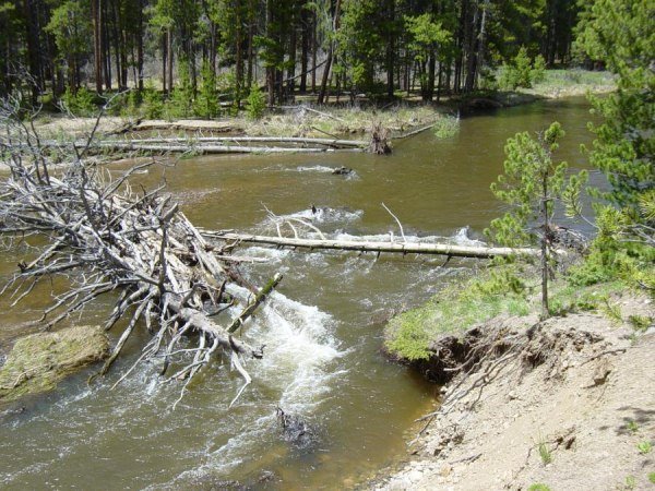 Colorado River Strainer