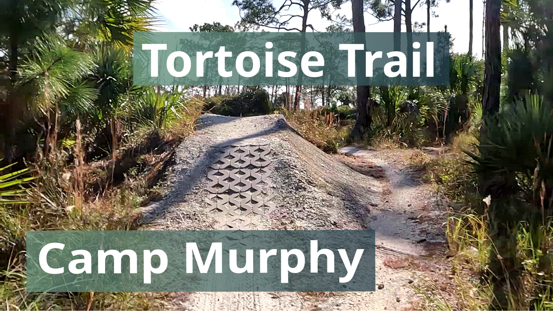 Tortoise Trail, Camp Murphy Video Screenshot