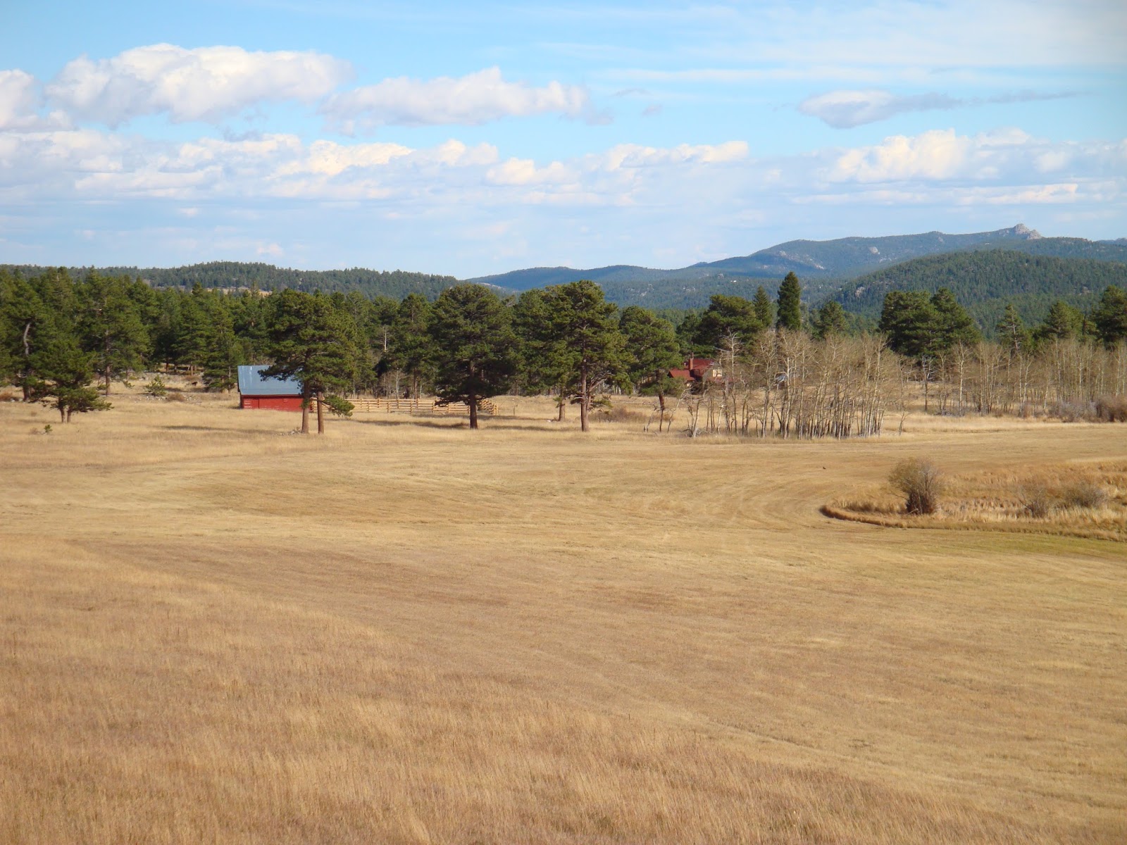 Fields and DeLonde Homestead