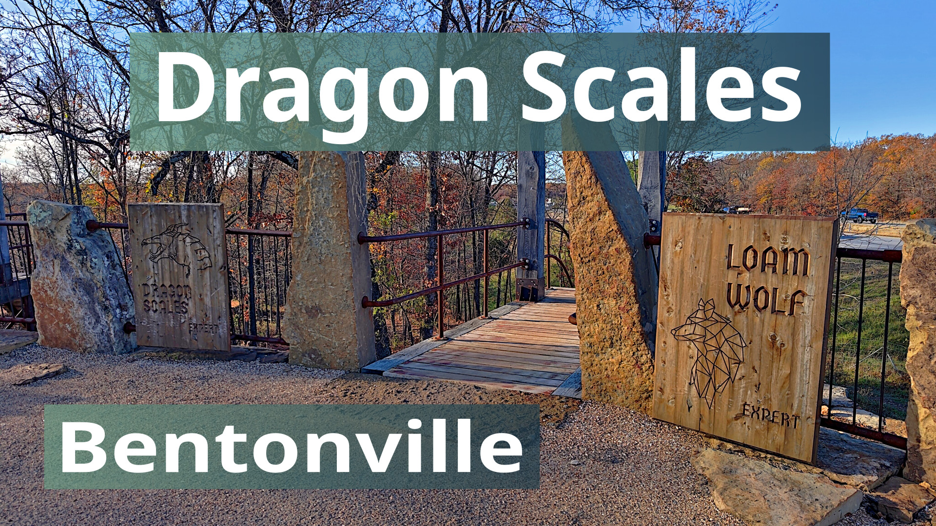Dragon Scales Video Thumbnail
