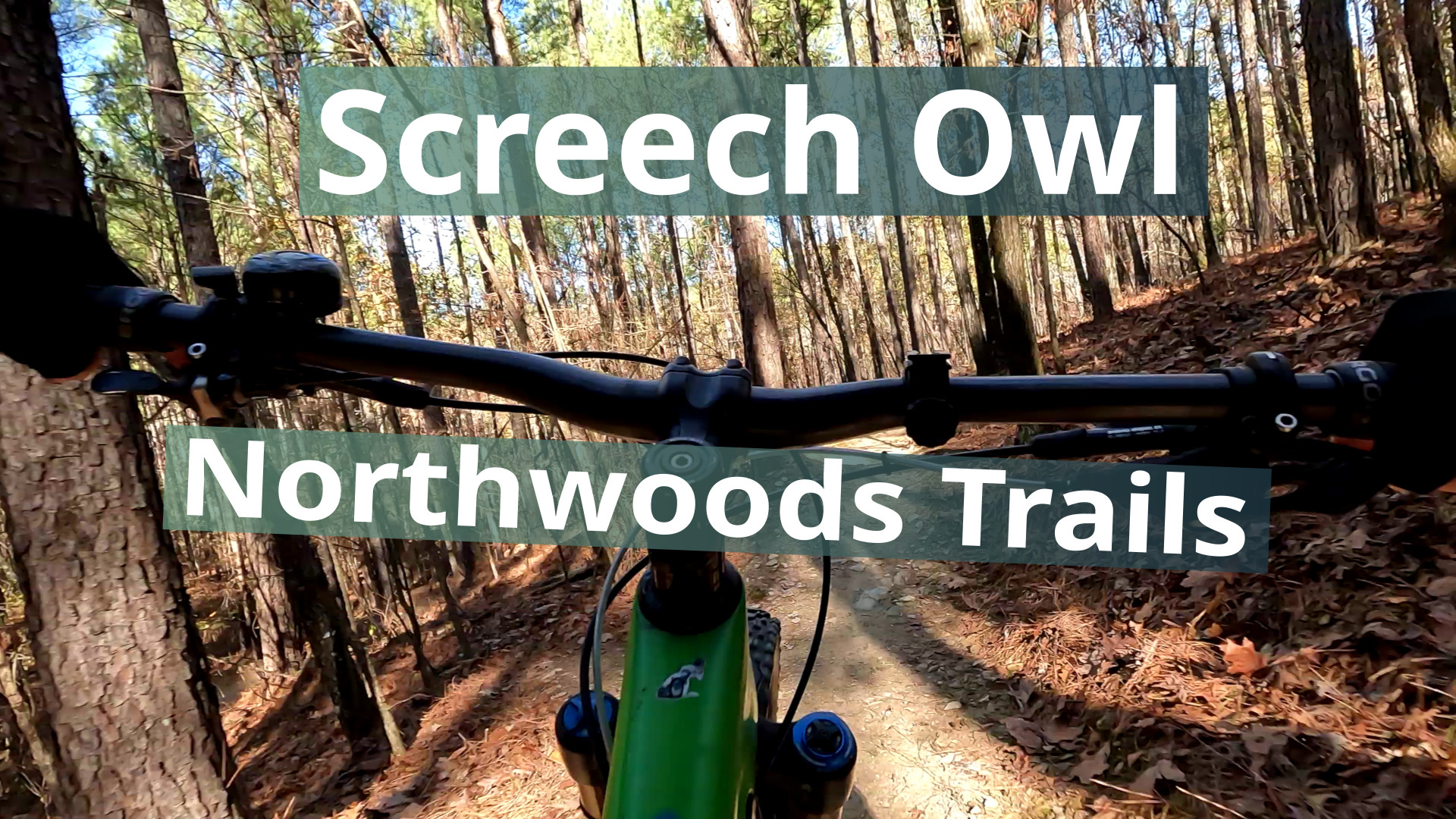 Screech Owl Video Thumbnail