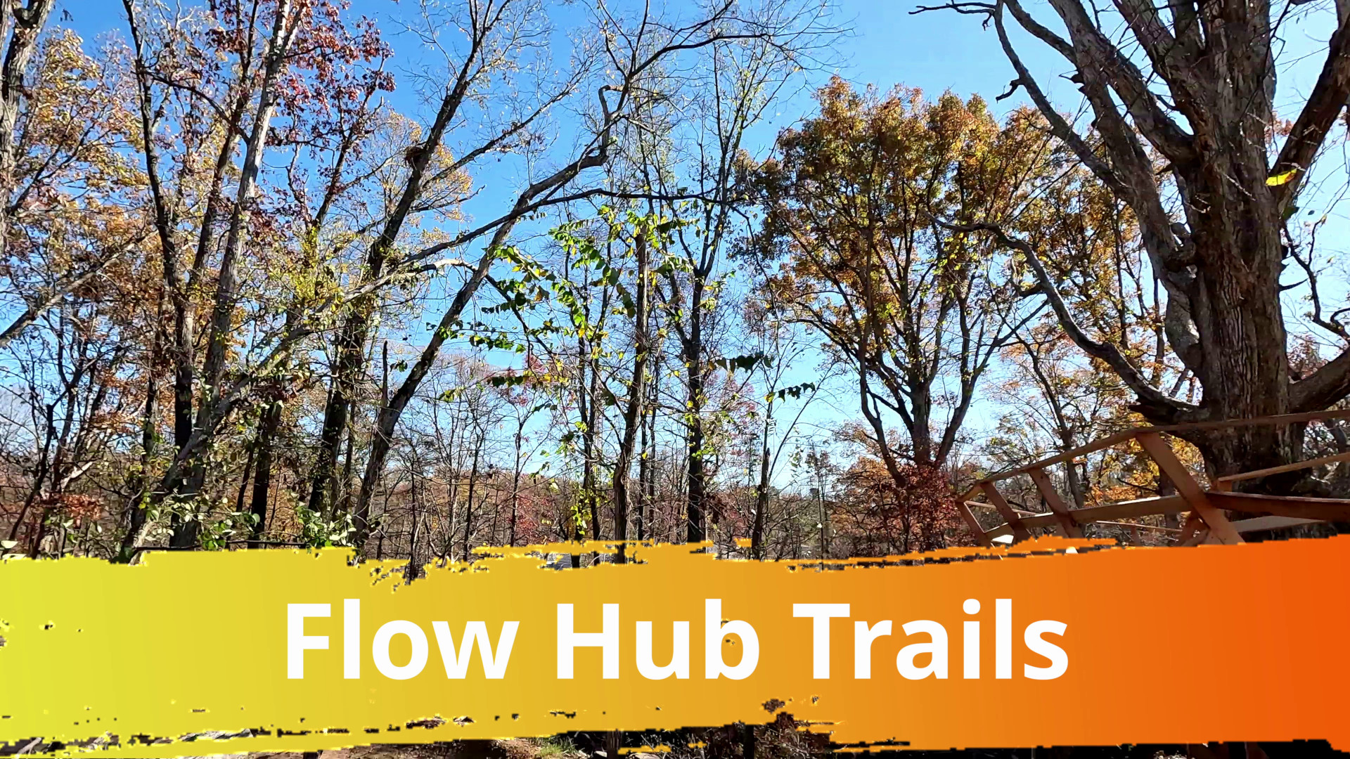 Slaughter Pen Flow Hub Video