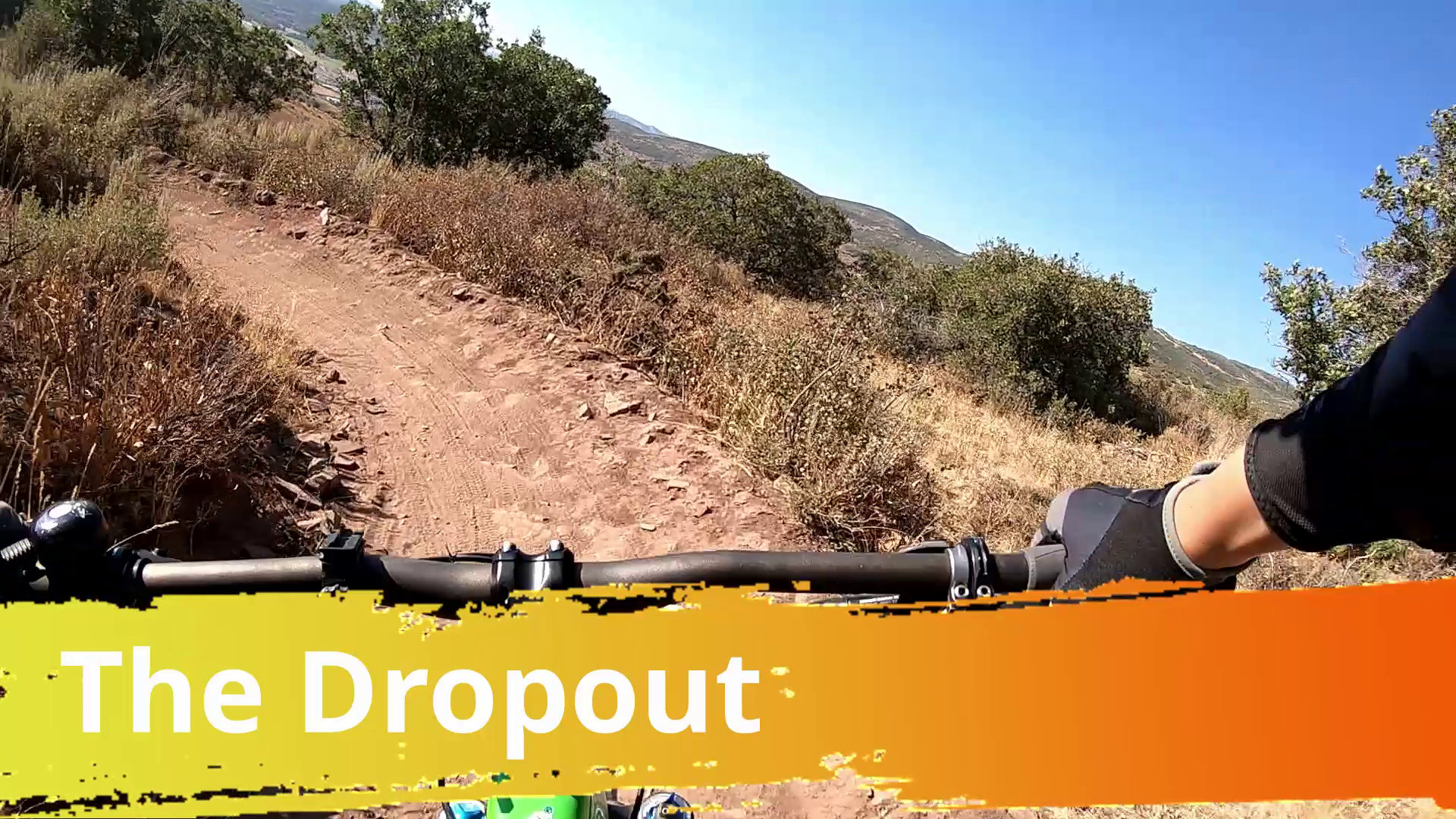 The Dropout Video