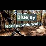 Bluejay Video Thumbnail