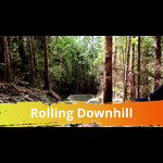 Rolling Downhill