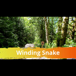 Winding Snake