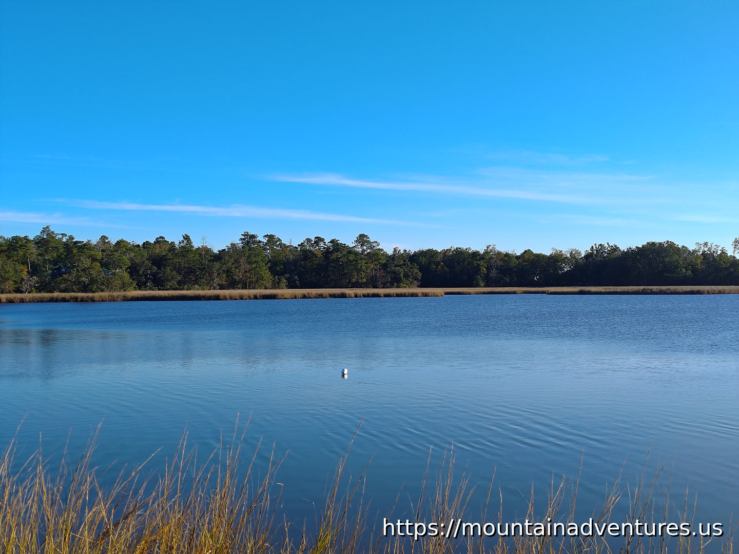 Open Water by the Boat Launch