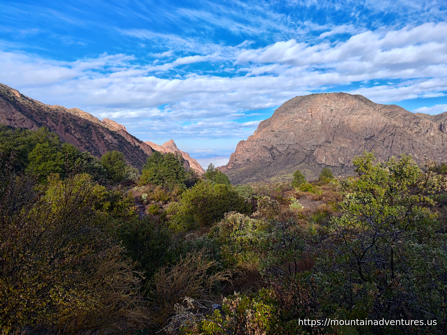Desert Mountains
