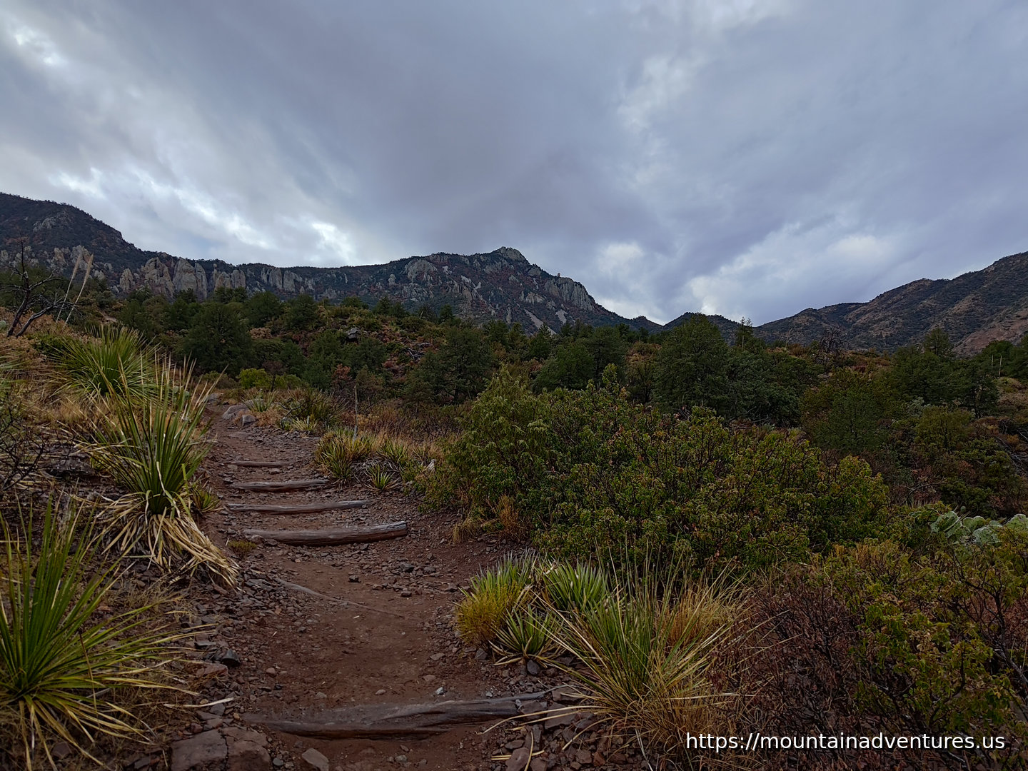 A trail with steps in the desert mountains.
