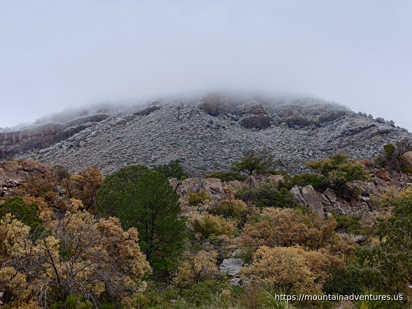 Snow Dusting on a Mountain in the Chisos Basin