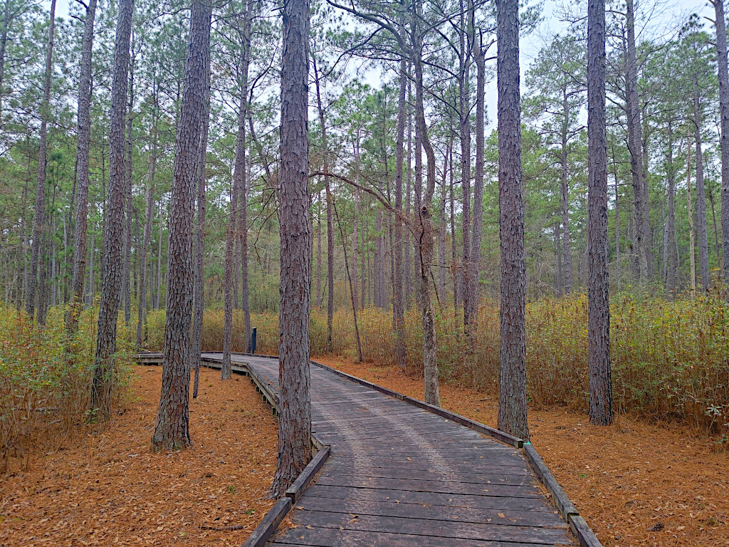 undew Trail Boardwalk