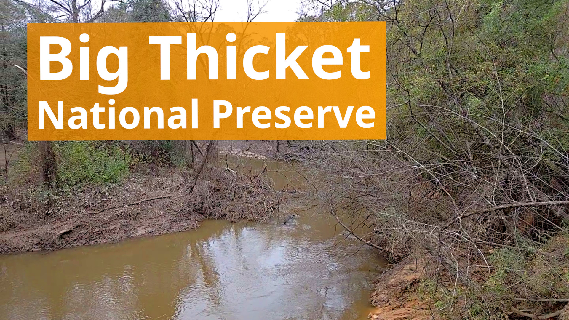 Big Thicket National Preserve Video