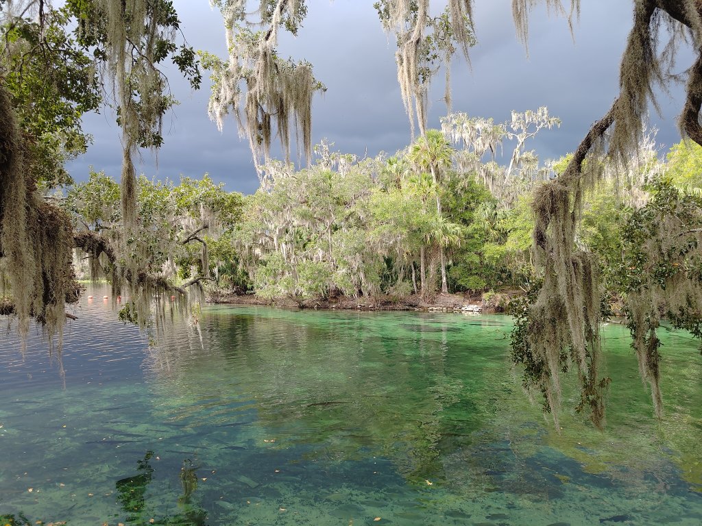 Blue Spring SP - Spring Run and Dark Skies