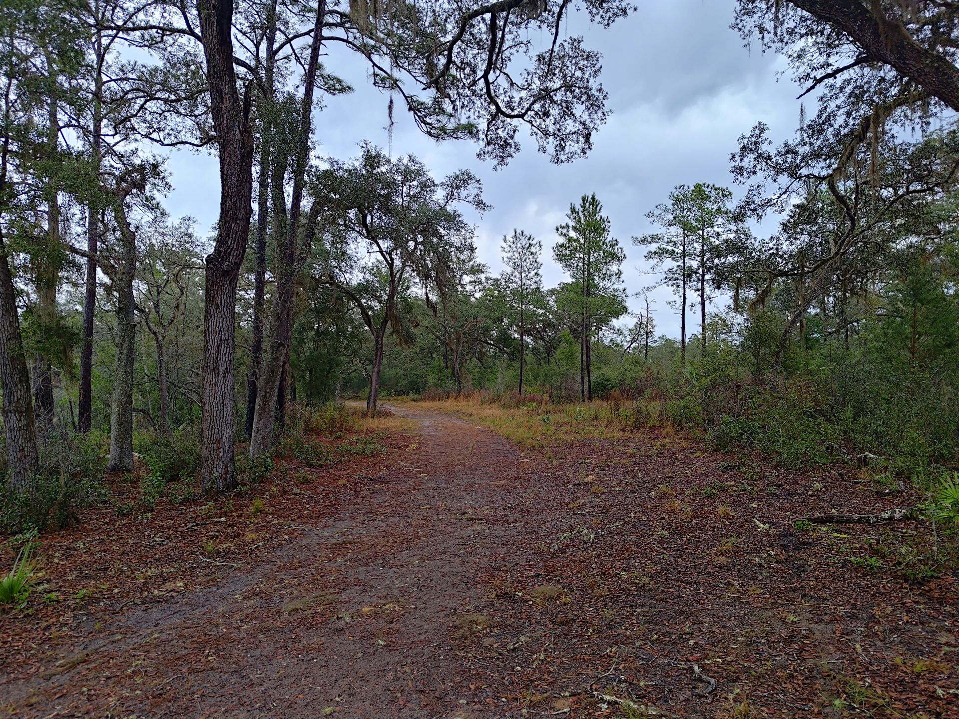 Dunns Creek SP - 33 Blue Pond Area Trail