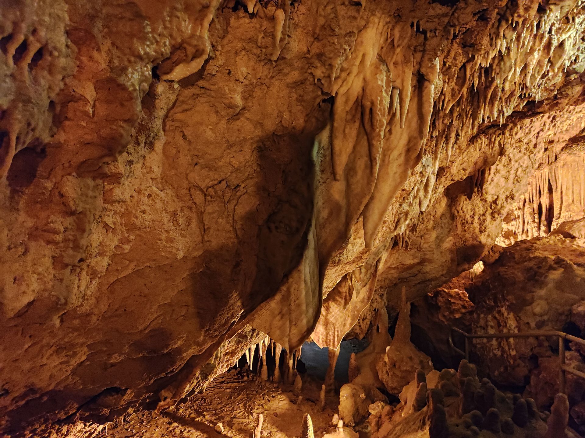 Florida Caverns SP Dec24 - 39