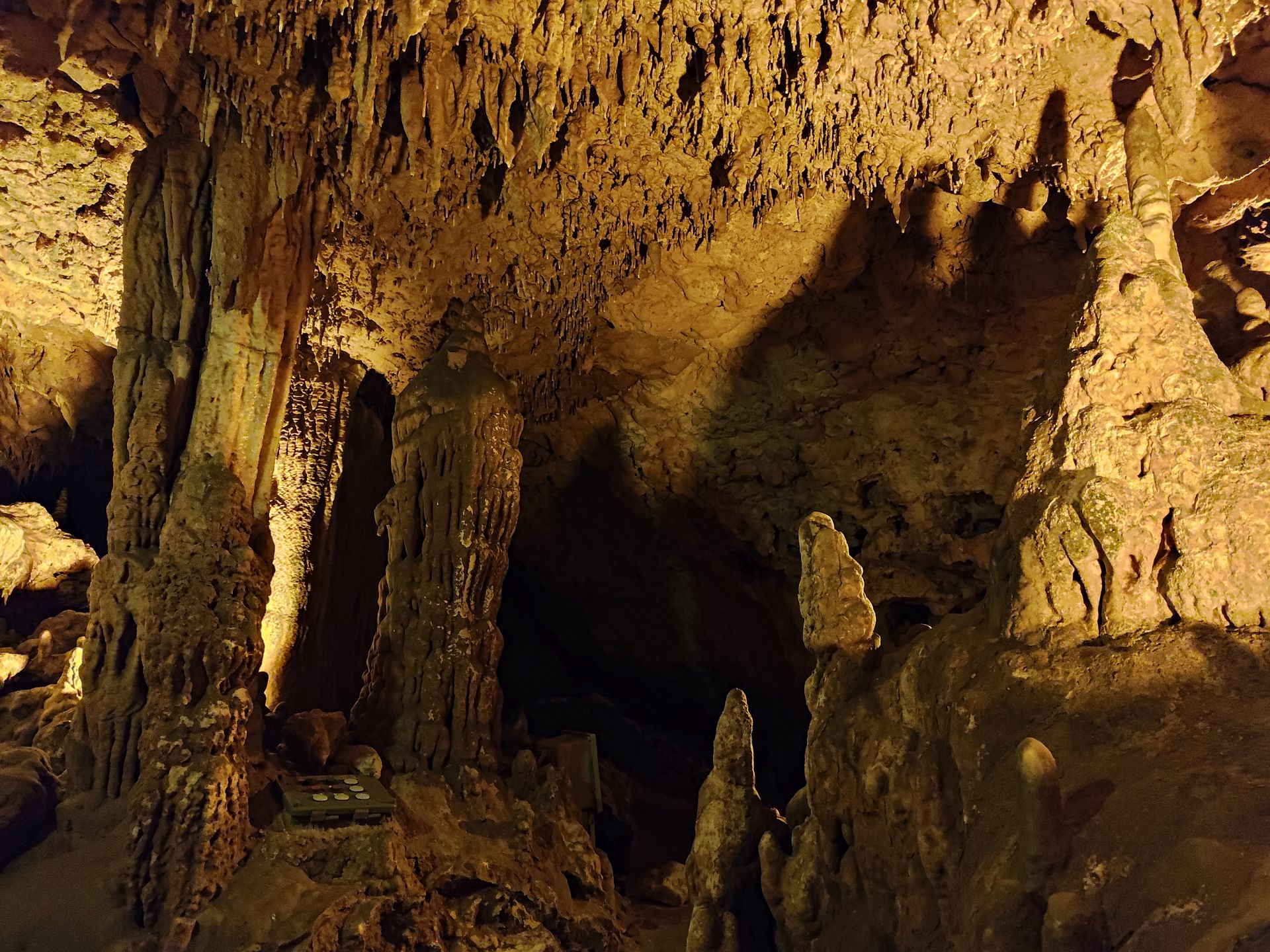 Florida Caverns SP Dec24 - 40