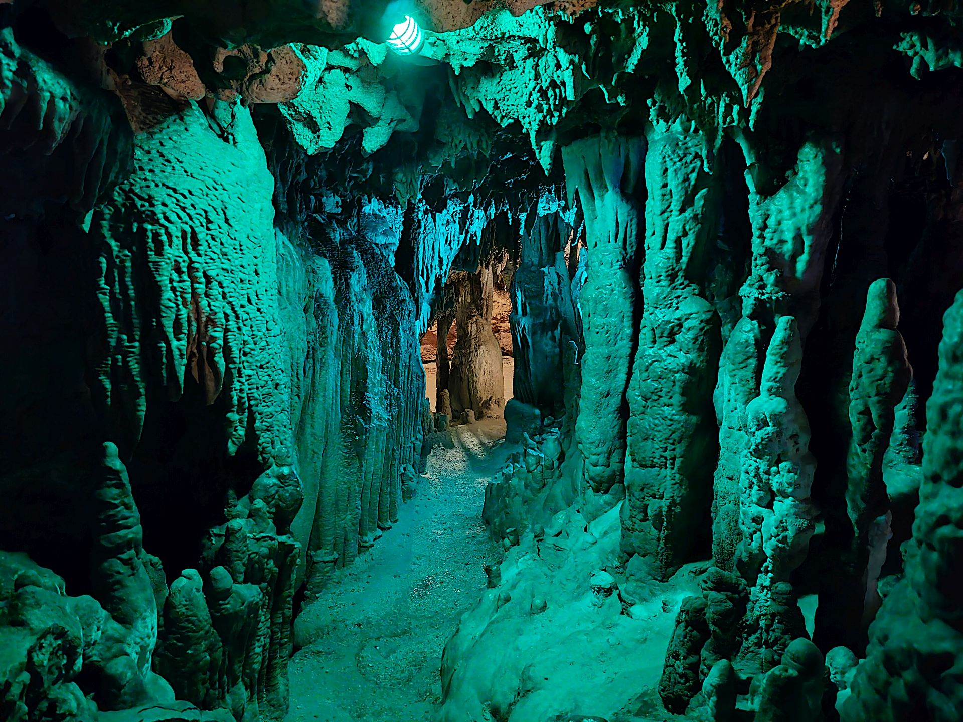 Florida Caverns SP Dec24 - 46