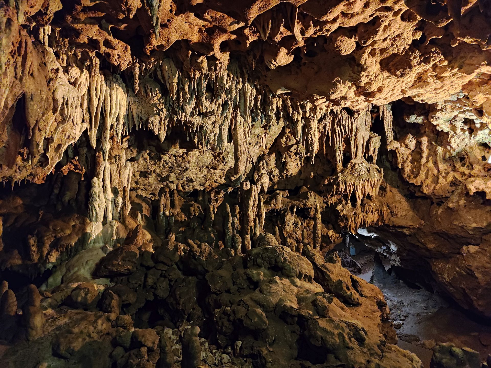 Florida Caverns SP Dec24 - 47