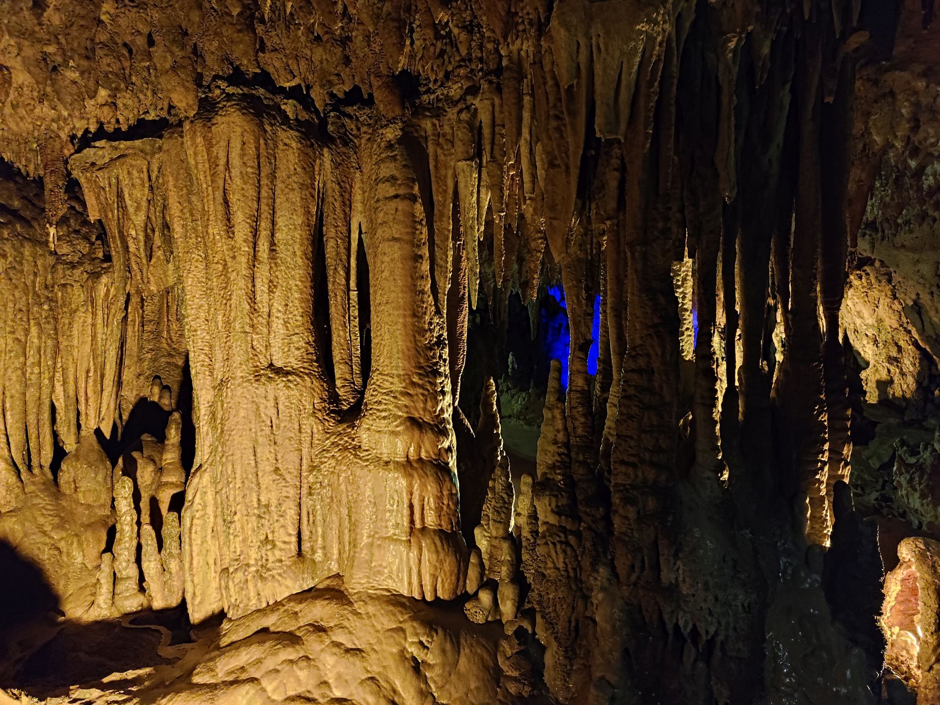 Florida Caverns SP Dec24 - 48