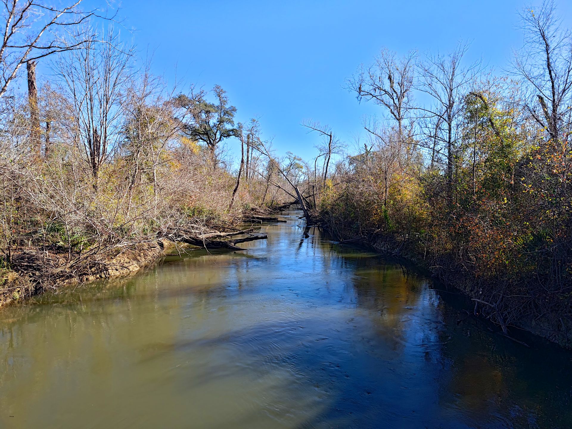 The Chipola River Near Where It Goes Underground