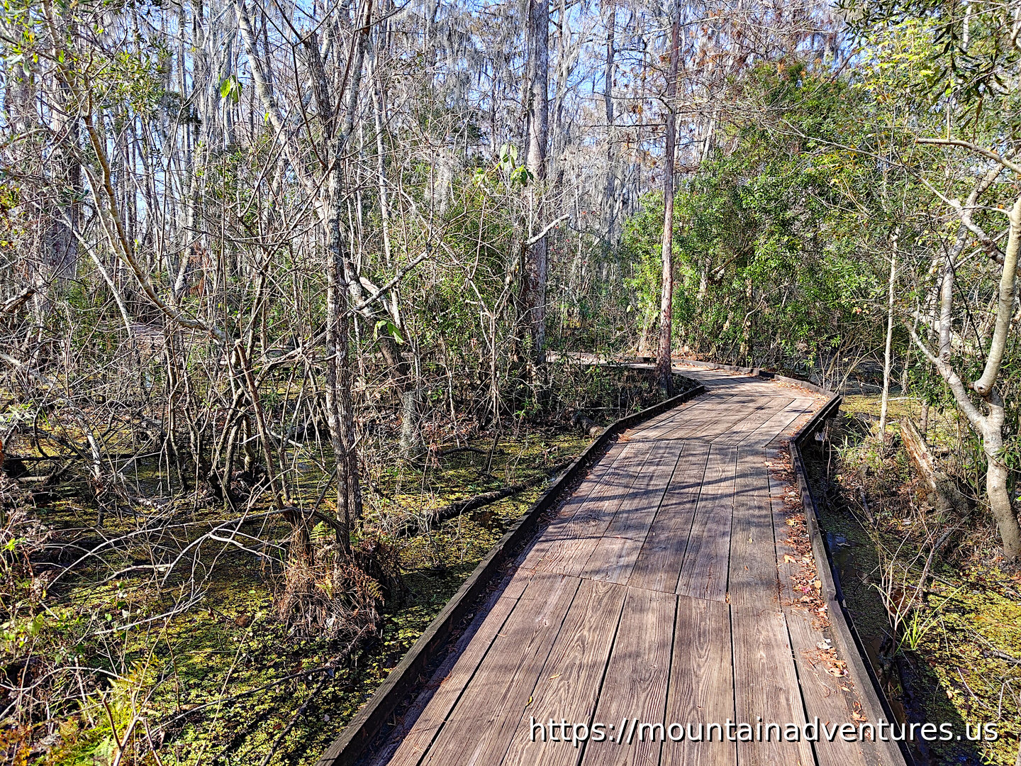 Visitor Center Boardwalk Trail