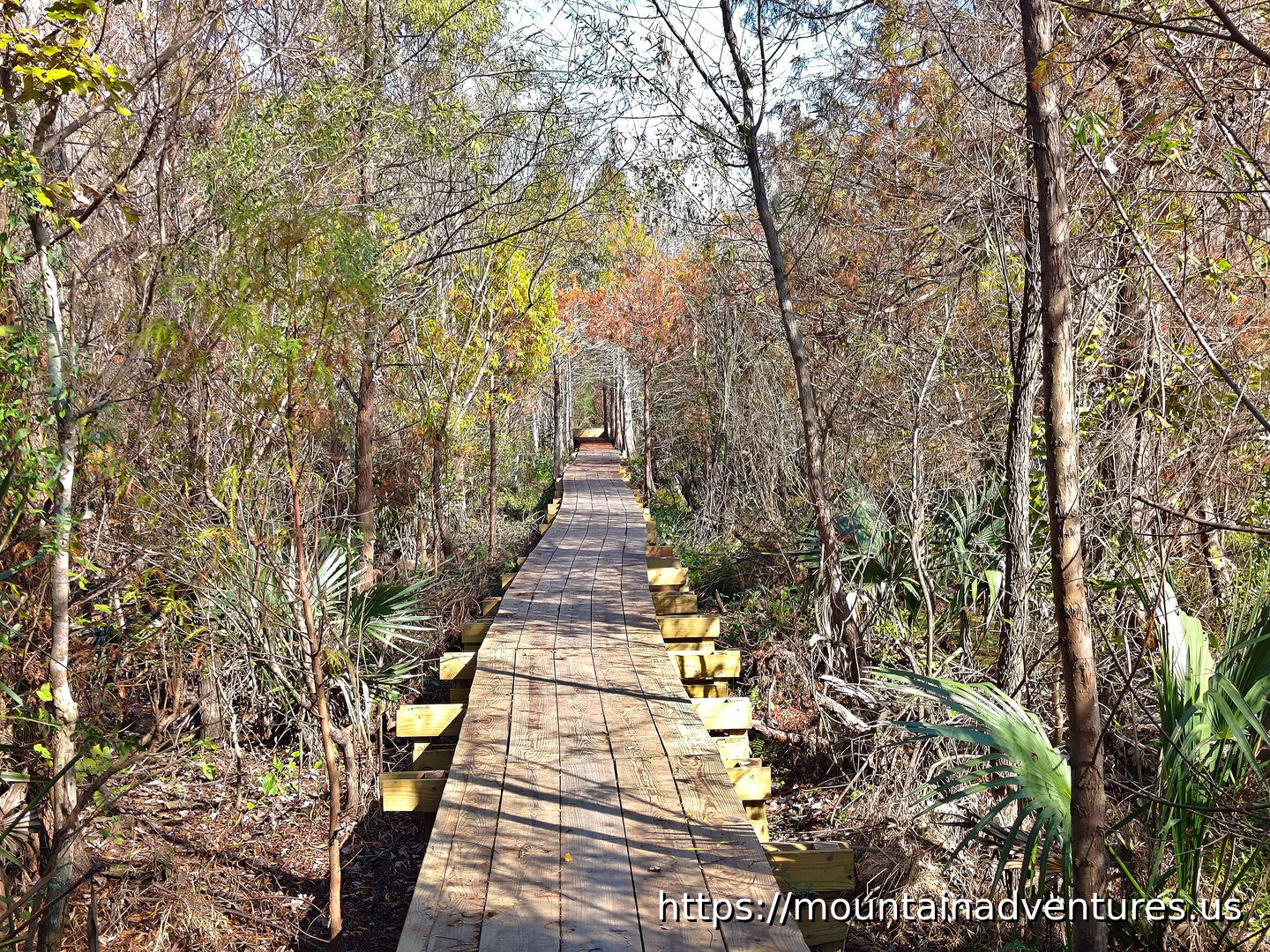 Boardwalk on Through Trails