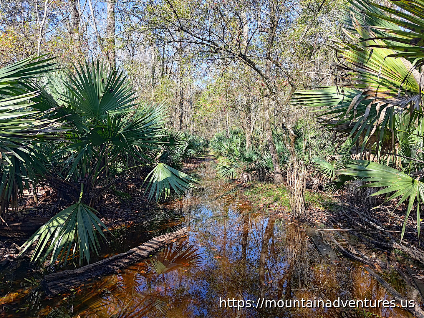 Road Width Trail Covered in Water