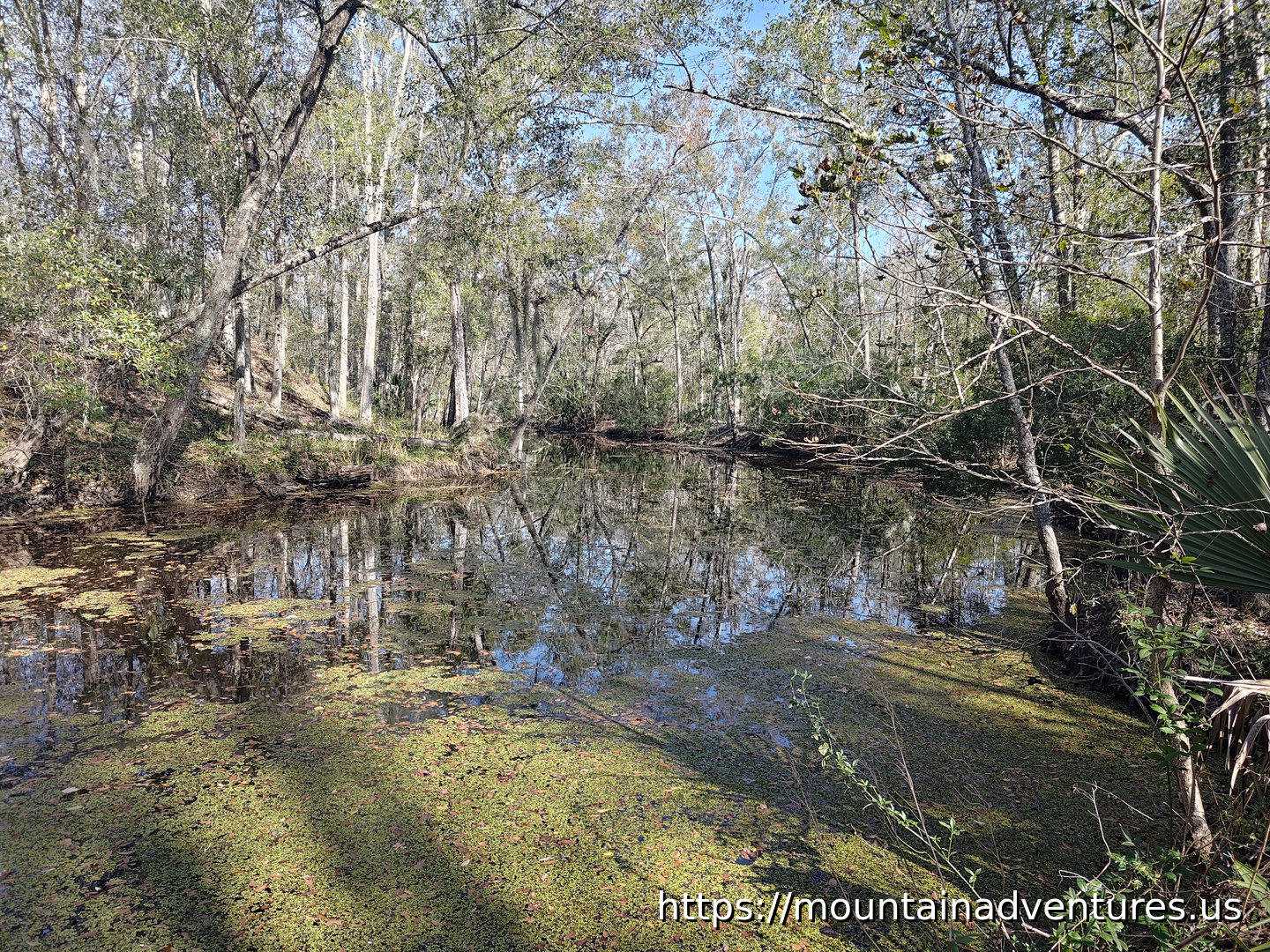 View from the Trailhead for Twin Canals Trail