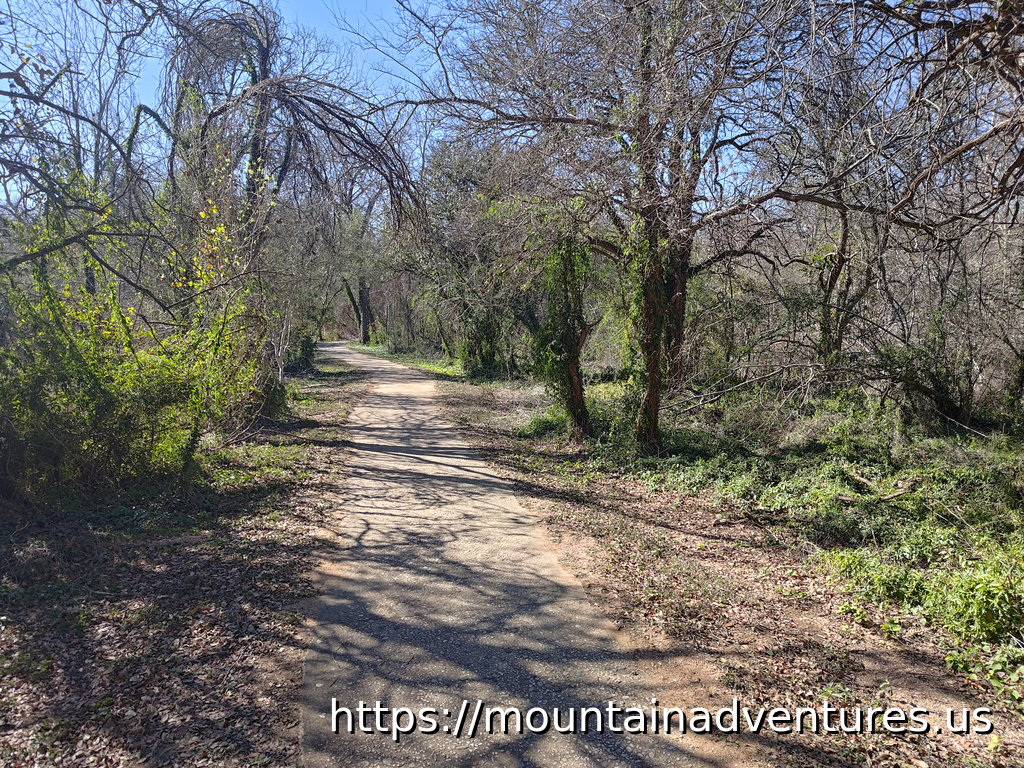Yanaguana Trail - A Path Through Trees