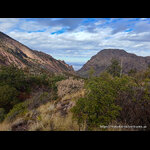 High in the Desert Mountains