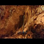 Florida Caverns SP Dec24 - 39
