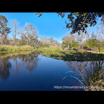 Open  Water with Reflection of the Trees and Plants
