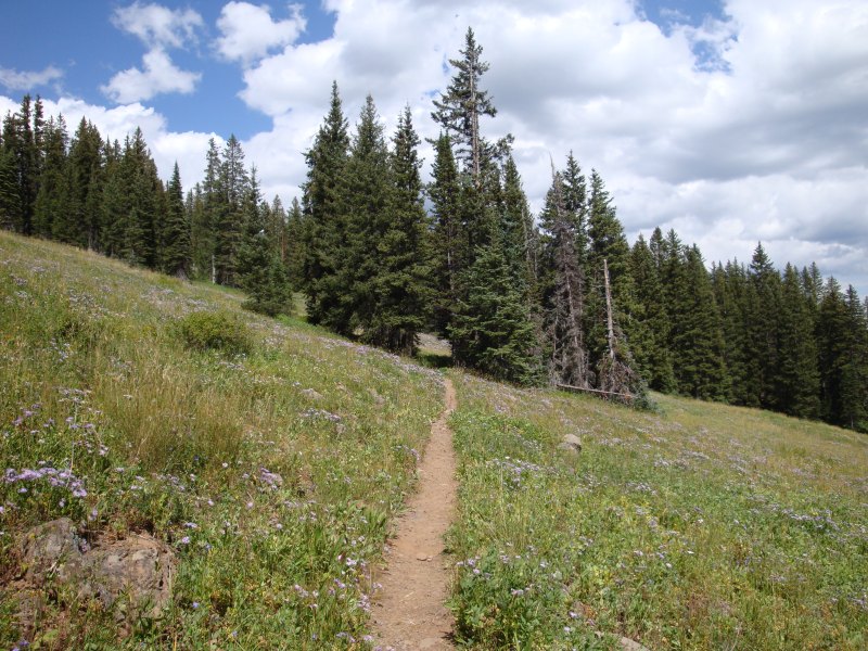 Lower Crags Crest Trail